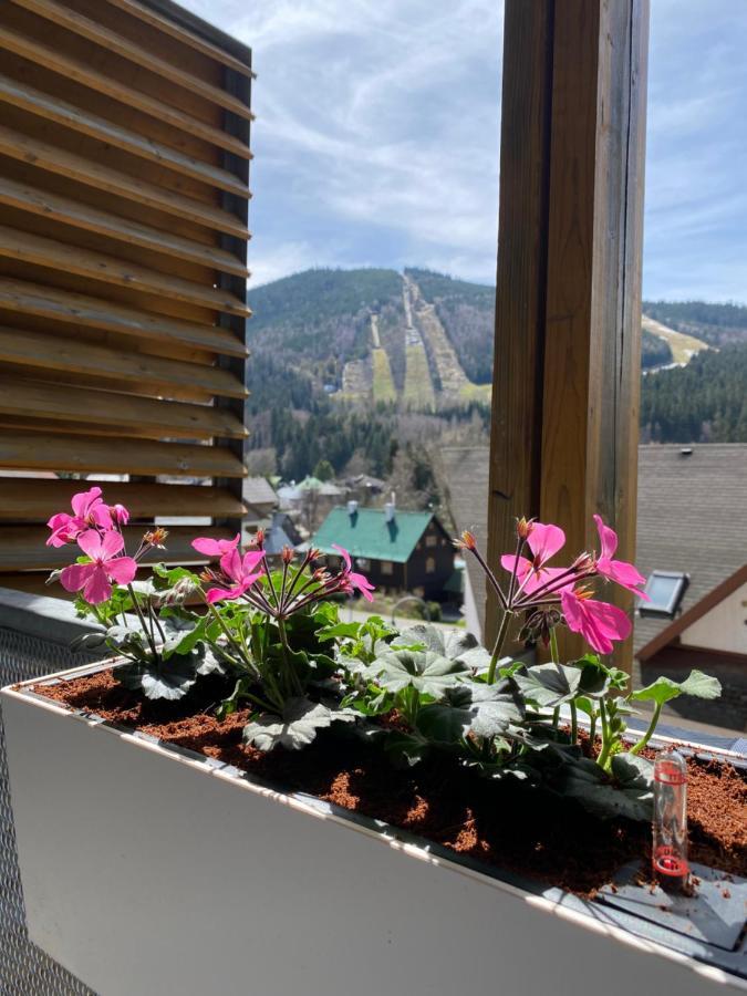 Luxusni Apartman U Sjezdovek S Garazi Harrachov Eksteriør billede