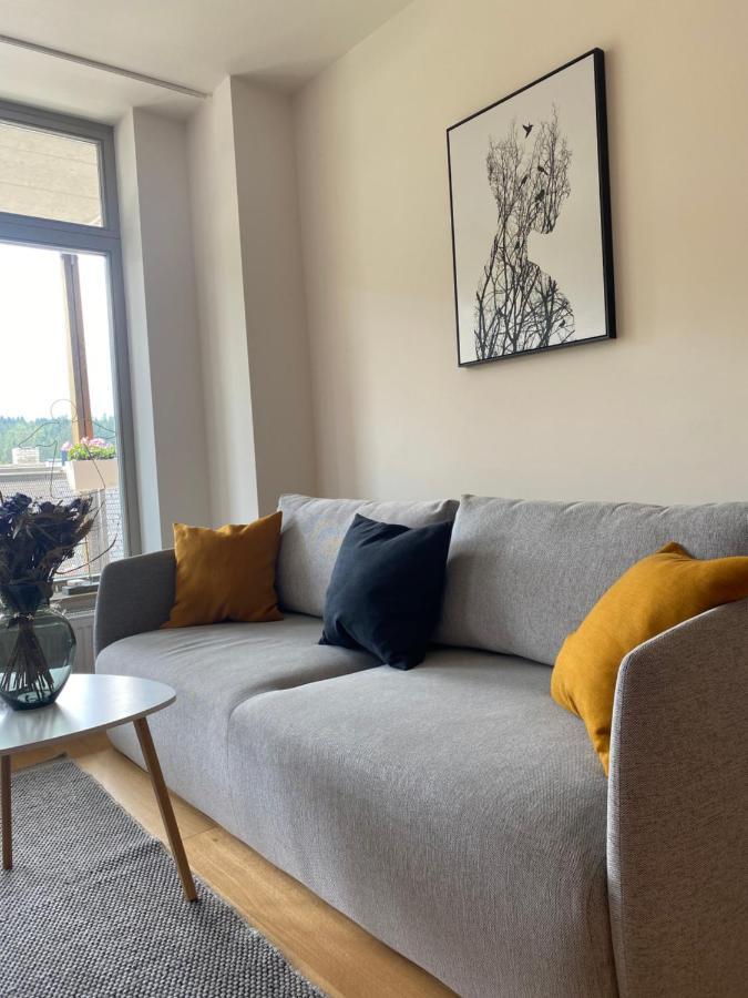 Luxusni Apartman U Sjezdovek S Garazi Harrachov Eksteriør billede